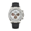 ROLEX DAYTONA MOP